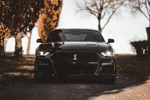 كازينو غولدن بالاس تطبيق أندرويد/آي أو إس